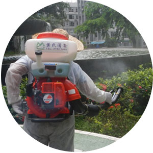 工作團隊